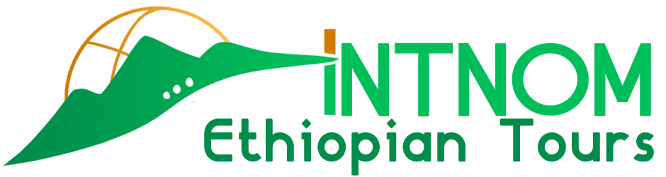INTNOM_Tour_Logo_Head2